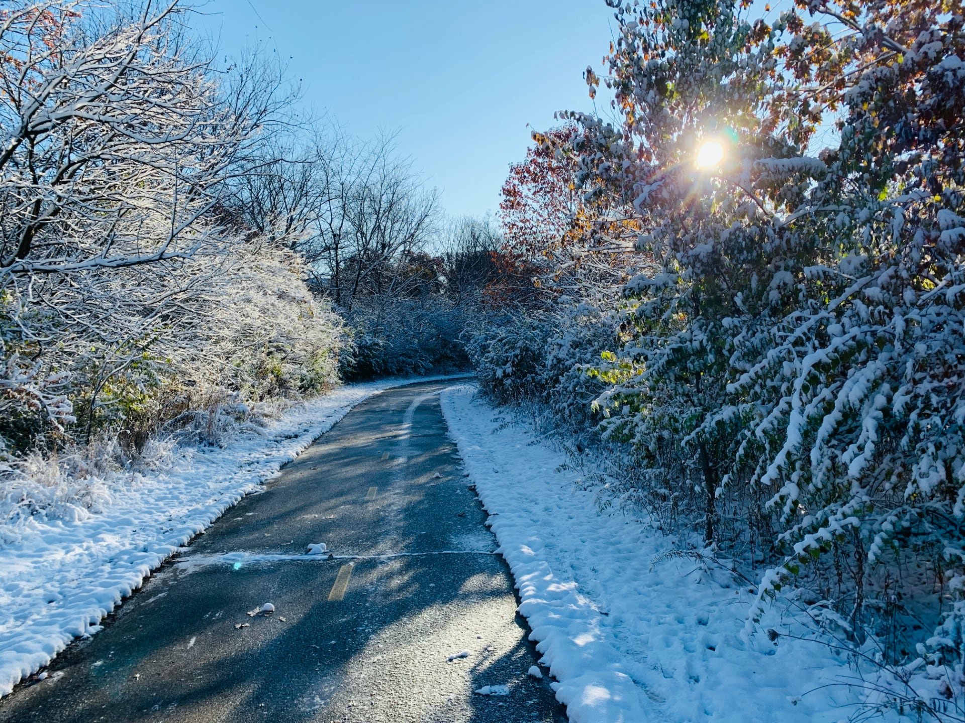 Looking down the bike trail with snow on all accompanying trees